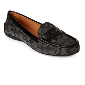 COACH Signature Drivers US 9.5B